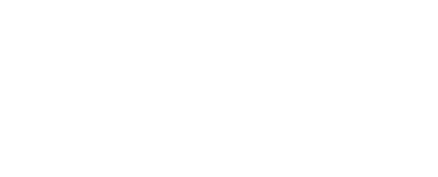 Attitude